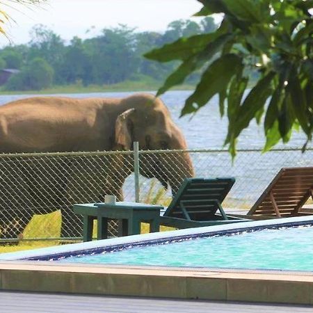 Hotel Lake Park ポロンナルワ エクステリア 写真