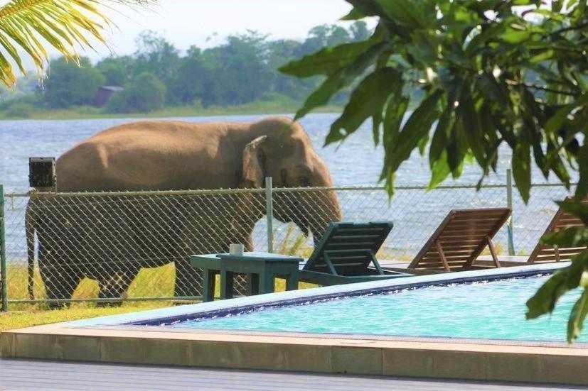 Hotel Lake Park ポロンナルワ エクステリア 写真